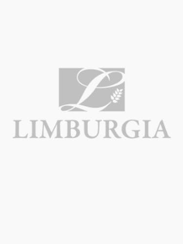 solide Vakantie Induceren Hummingbird carrot cake | Online bestellen | Patisserie Limburgia |  Patisserie Limburgia